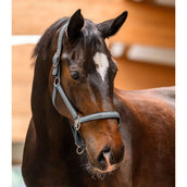 Waldhausen Cabezada Athletic Chrome Grey