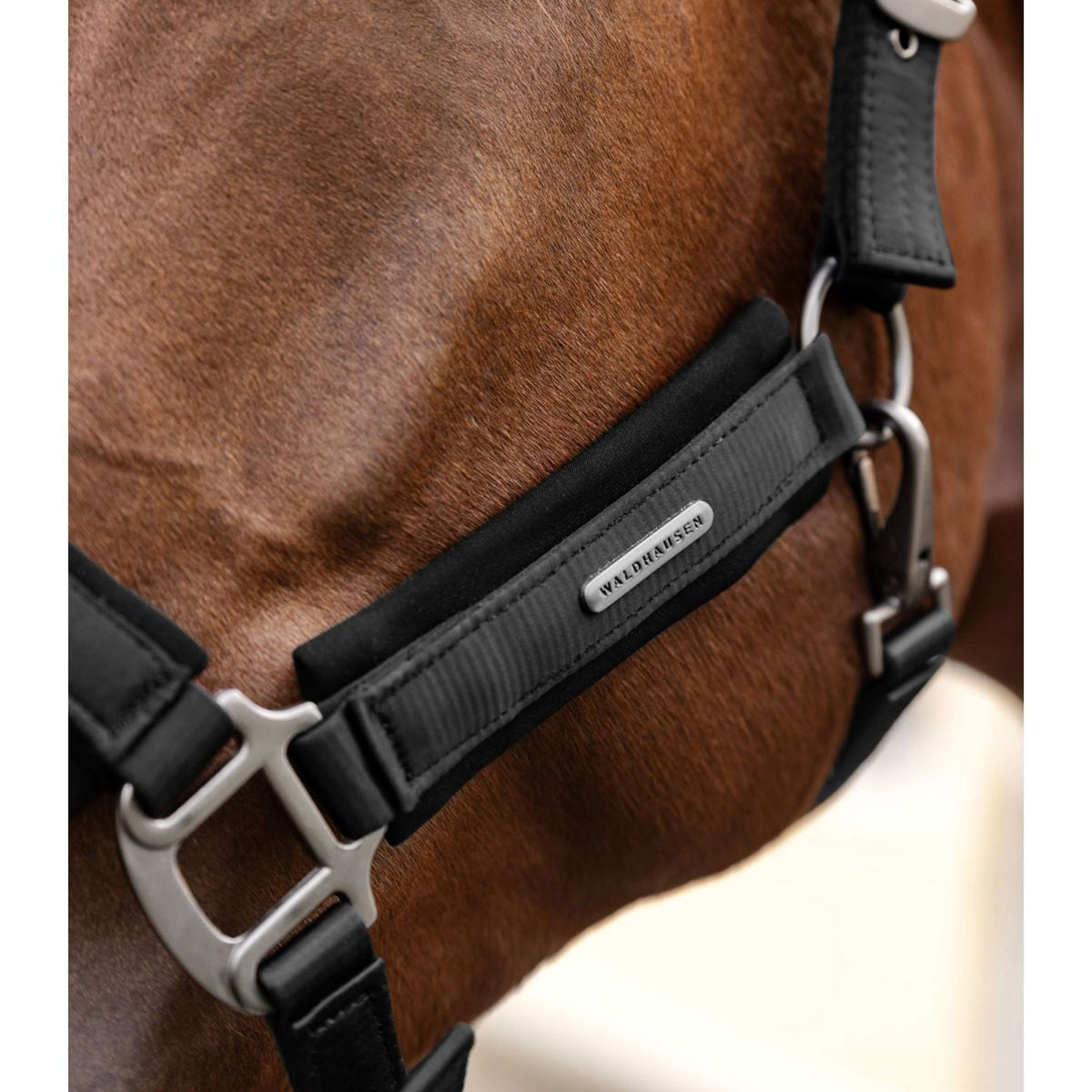 Waldhausen Cabezada Soft Touch Negro