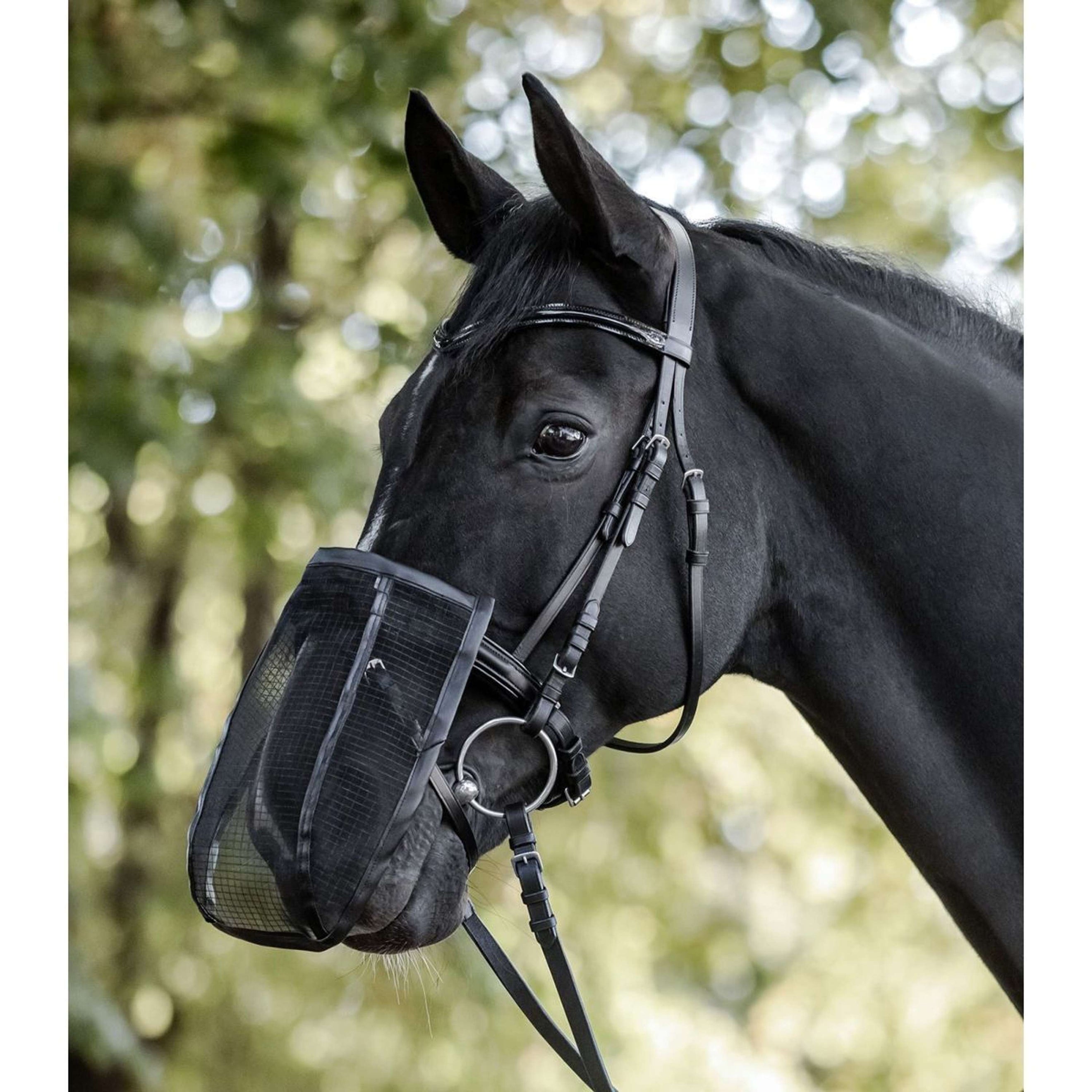 Waldhausen Red nasal Negro Waldhausen Red nasal Negro