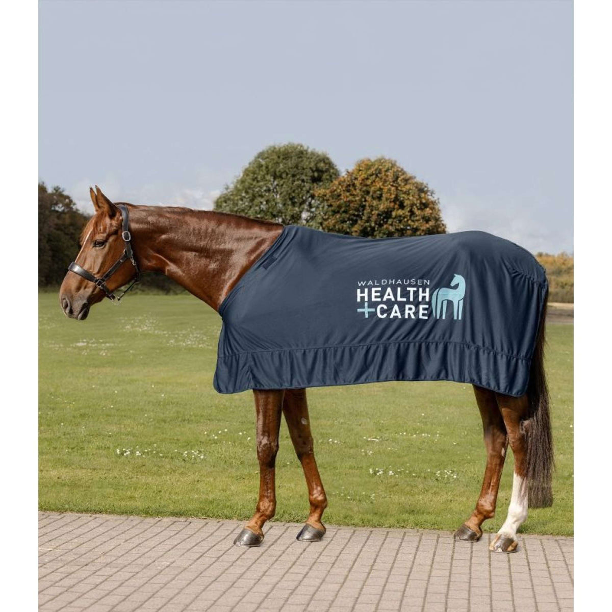 Waldhausen Health + Care Manta Refrigerante Ice Layer Azul Noche