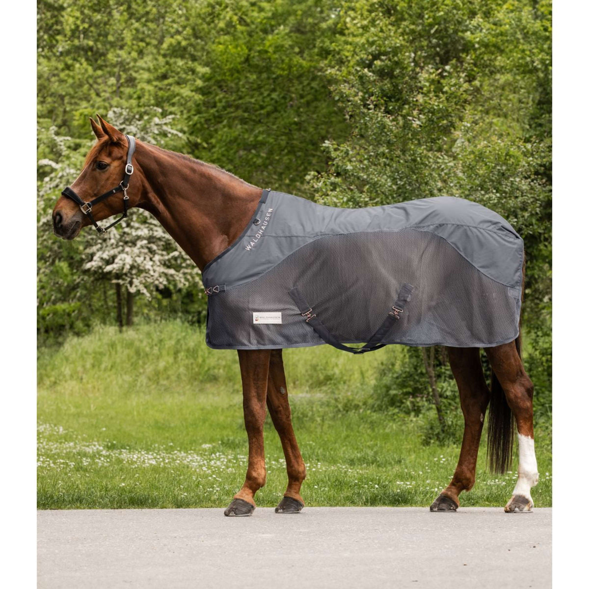 Waldhausen Manta Antimoscas Comfort Español (ES): Espalda Impermeable Gris