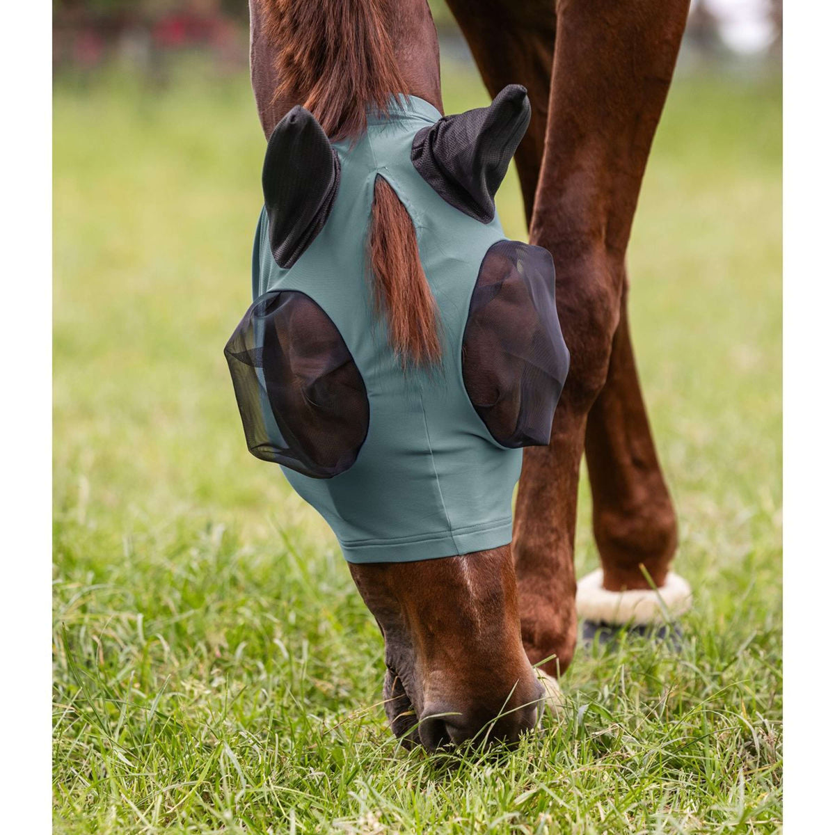 Waldhausen Máscara para Moscas Puck Pine Green