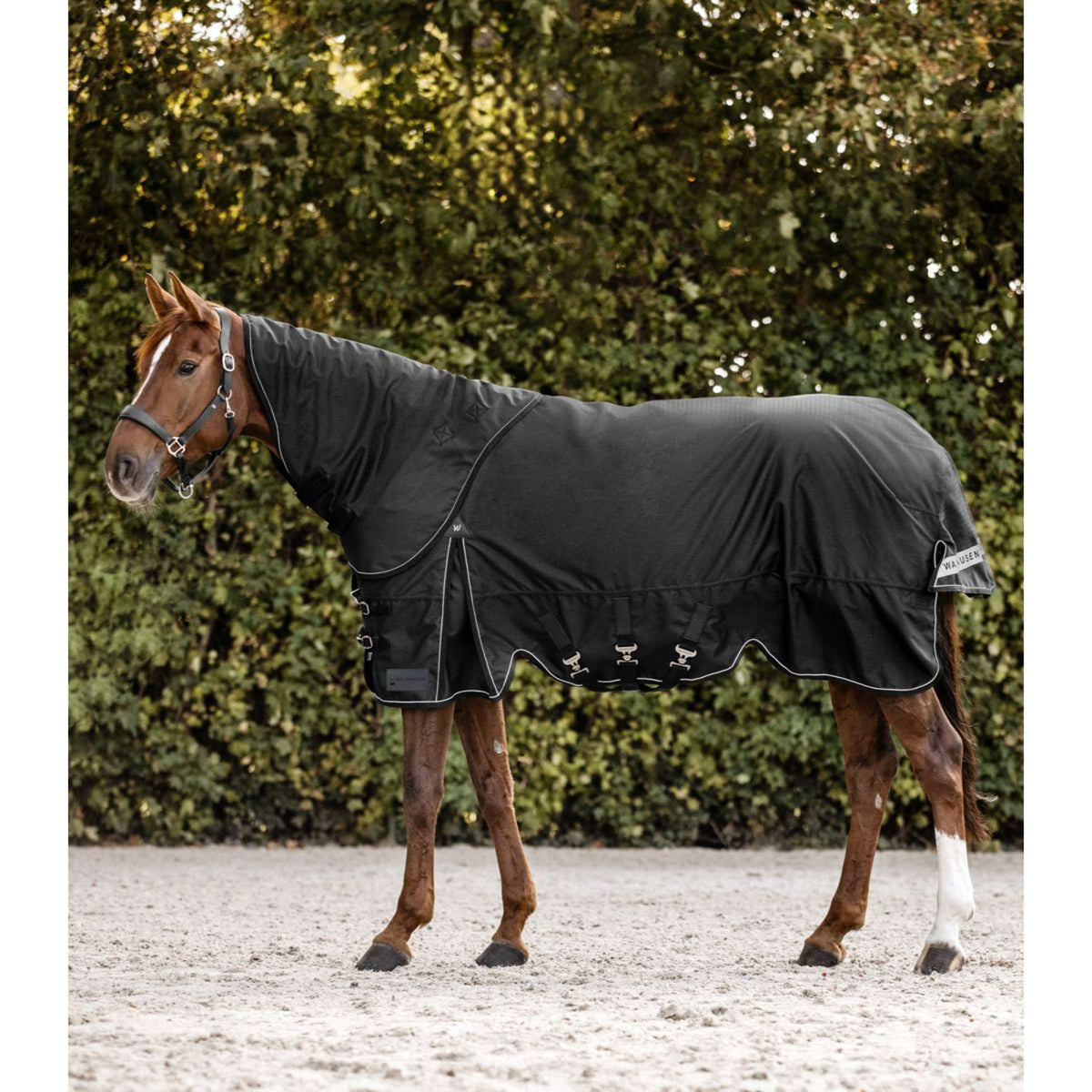 Waldhausen Pieza para el cuello Scandic 200 g Negro