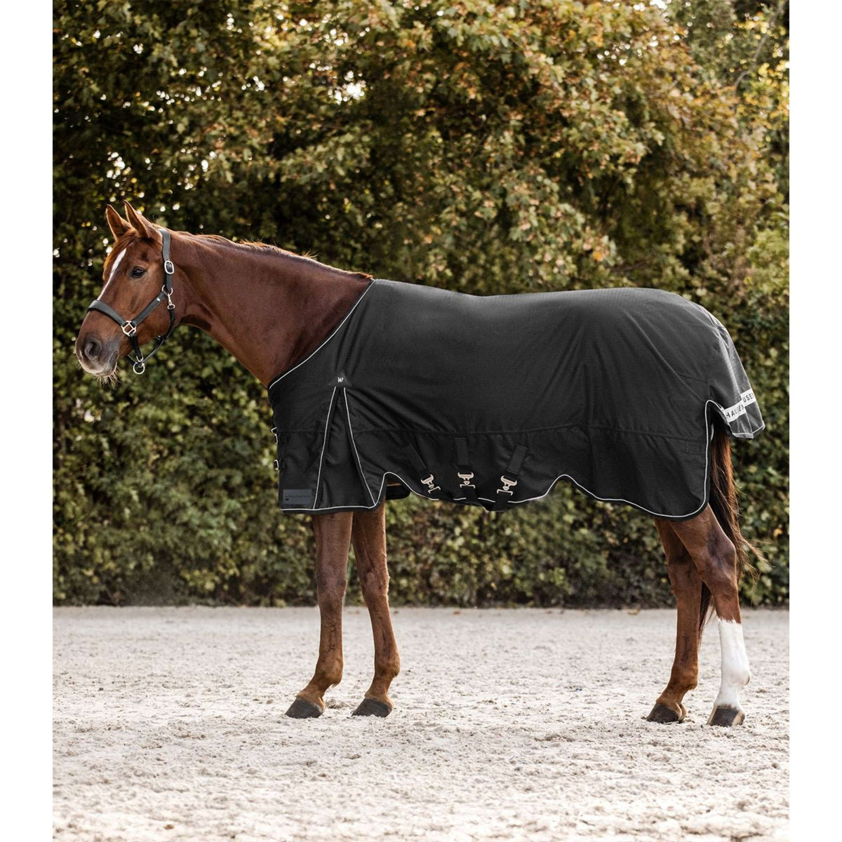 Waldhausen Alfombra de Exterior Scandic 300 g Negro