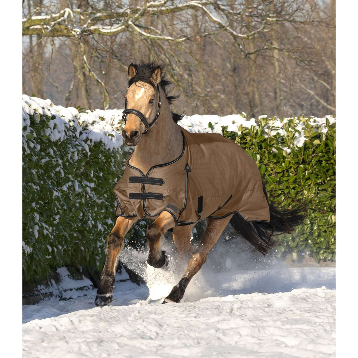 Waldhausen Alfombra de Exterior Arctic Light Cappuccino/Negro