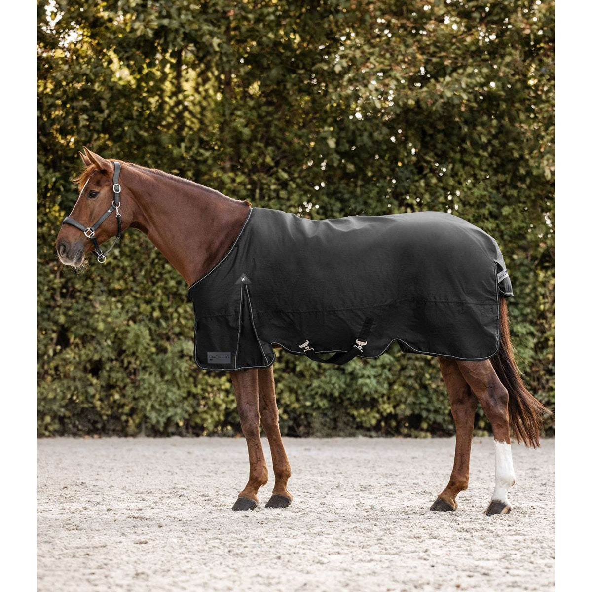 Waldhausen Alfombra de Exterior Arctic 200 g Negro