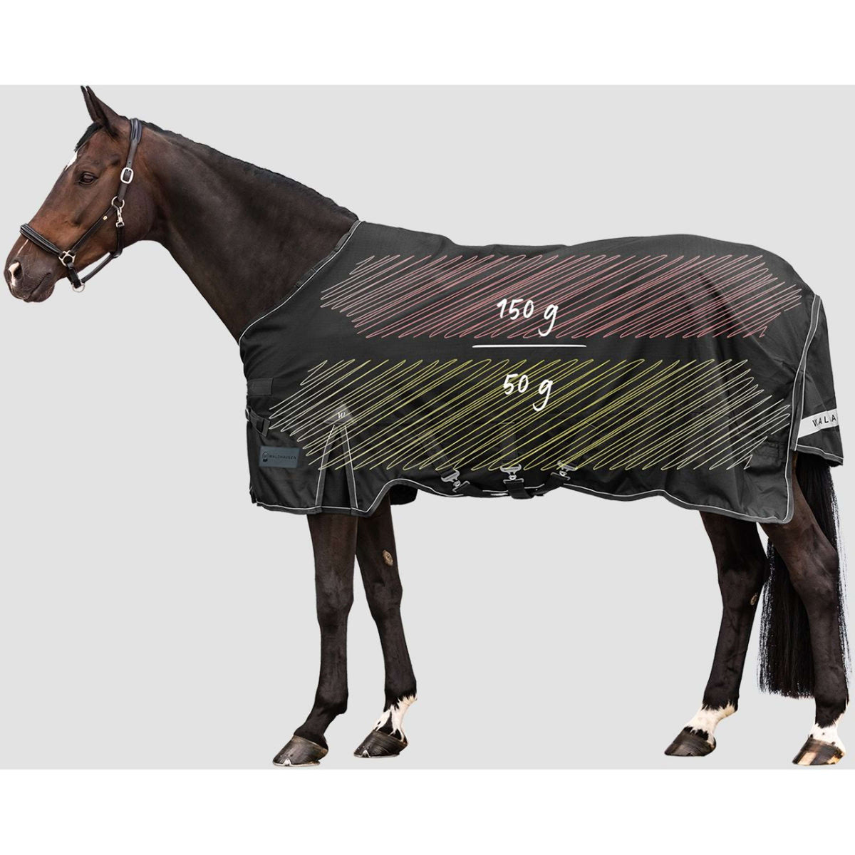 Waldhausen Alfombra de Exterior Scandic Multi-Layer 50/150g Negro