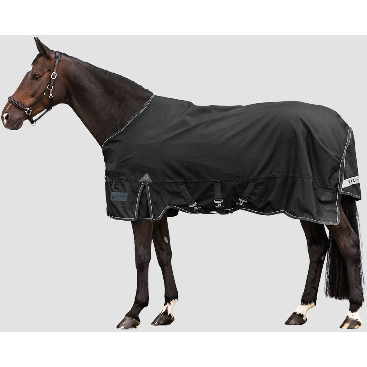 Waldhausen Alfombra de Exterior Scandic Multi-Layer 50/150g Negro