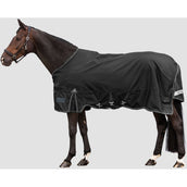 Waldhausen Alfombra de Exterior Scandic Multi-Layer 50/150g Negro