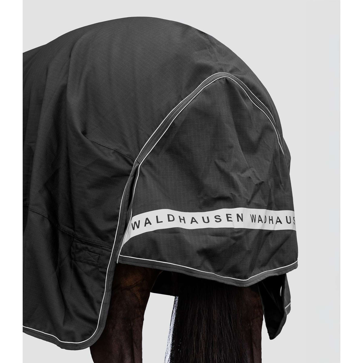 Waldhausen Alfombra de Exterior Scandic Multi-Layer 50/150g Negro