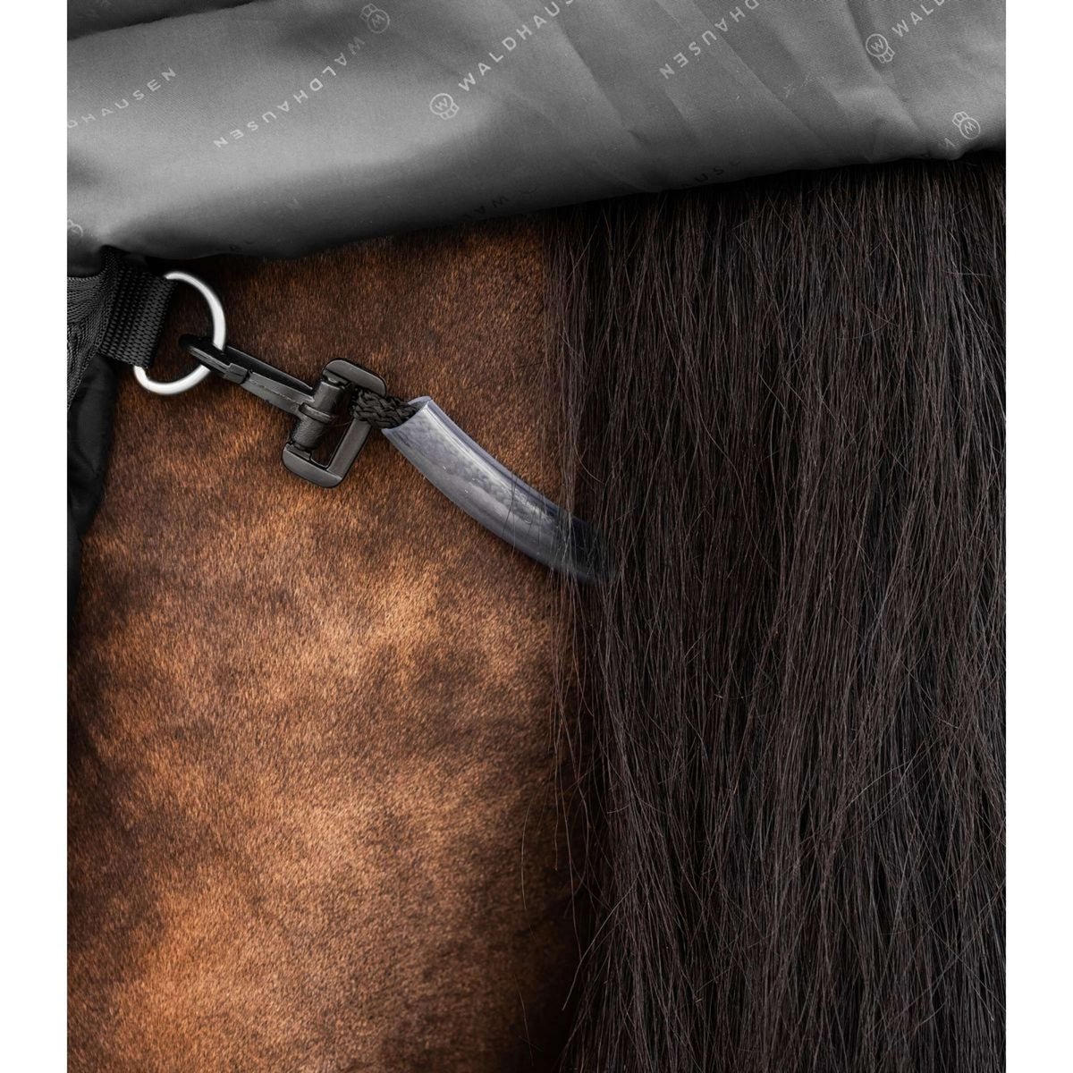 Waldhausen Alfombra de Exterior Scandic Multi-Layer 50/150g Negro