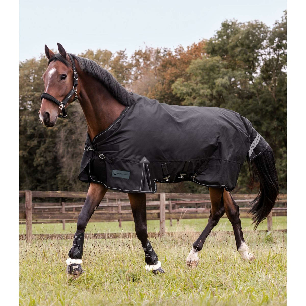 Waldhausen Alfombra de Exterior Scandic Multi-Layer 50/150g Negro