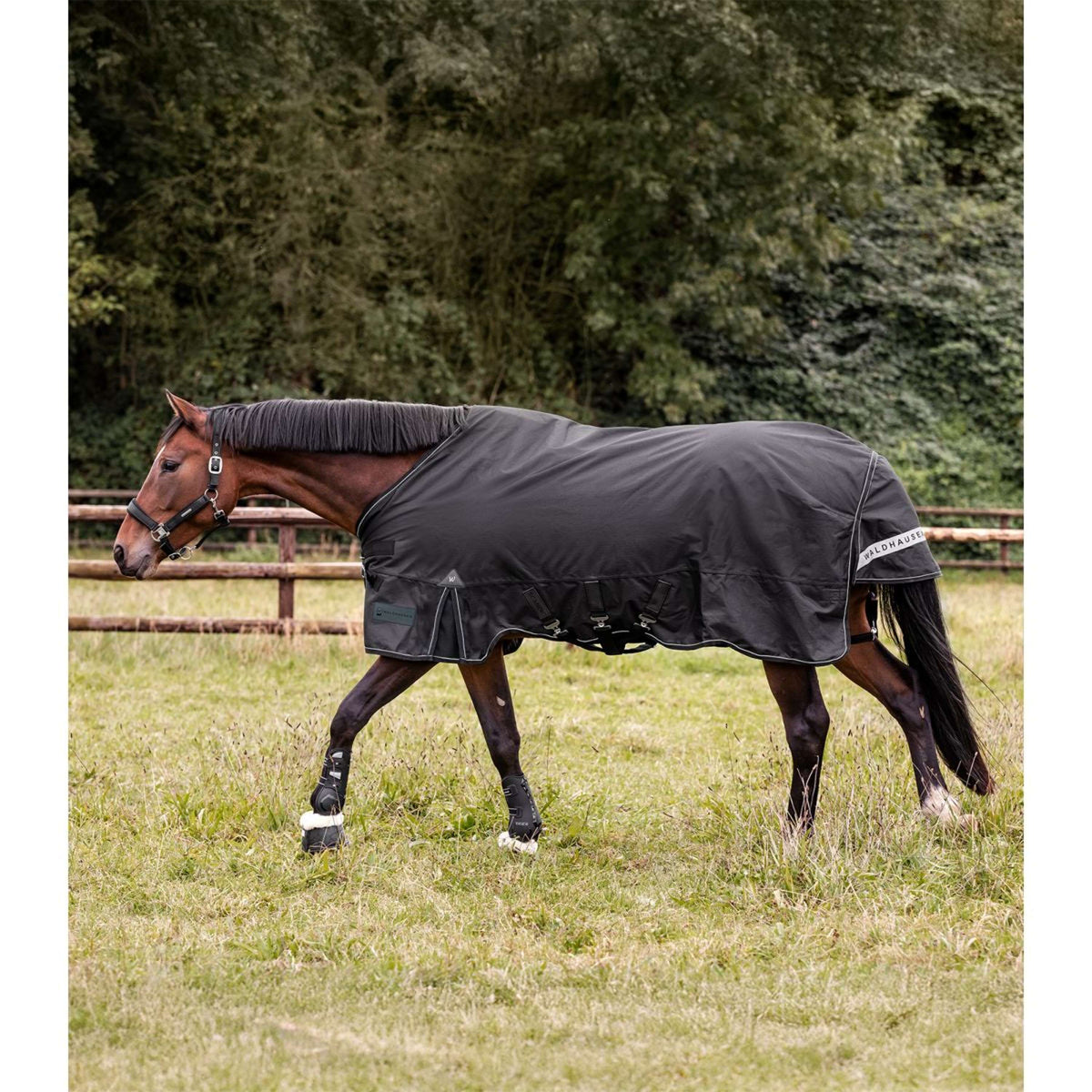 Waldhausen Alfombra de Exterior Scandic Multi-Layer 50/150g Negro