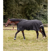 Waldhausen Alfombra de Exterior Scandic Multi-Layer 50/150g Negro