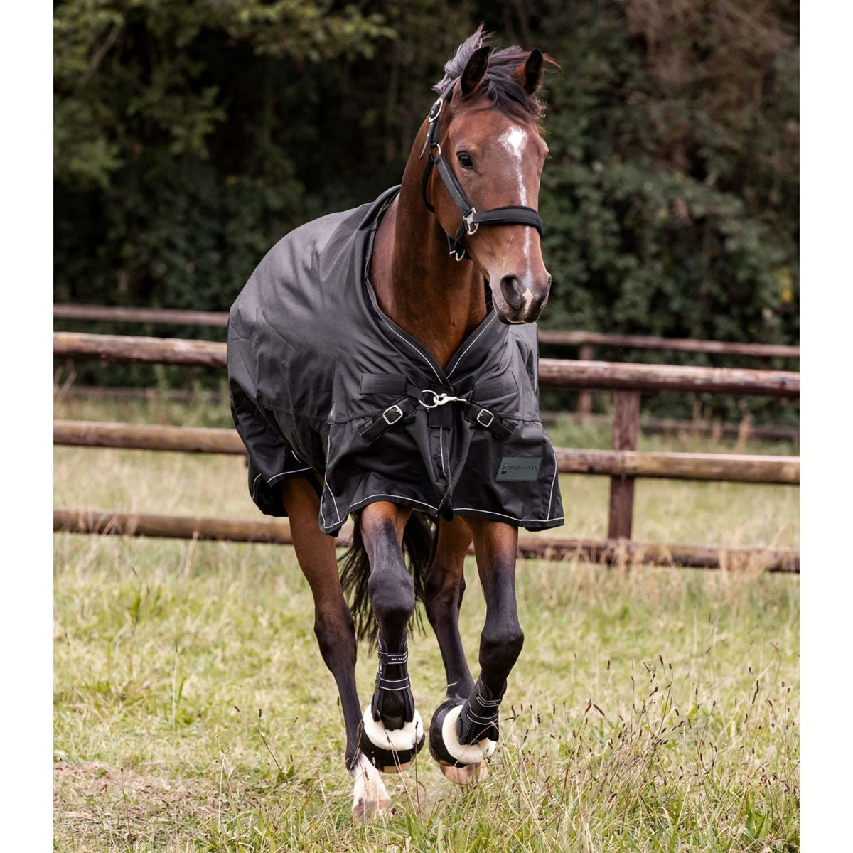 Waldhausen Alfombra de Exterior Scandic Multi-Layer 50/150g Negro