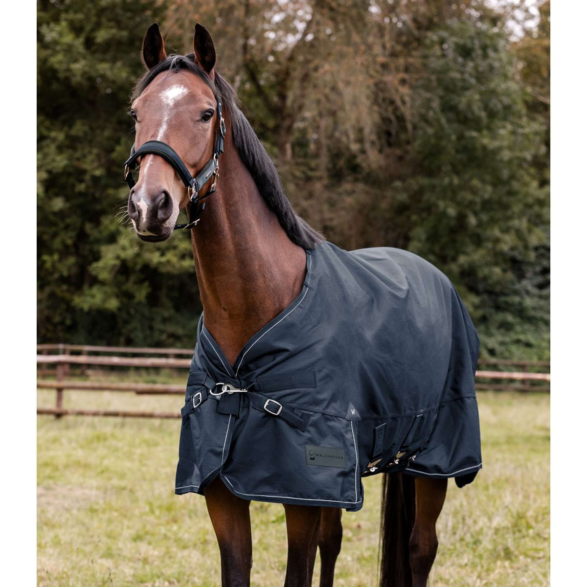 Waldhausen Alfombra de Exterior Scandic Multi-Layer 100/250g Nightblue