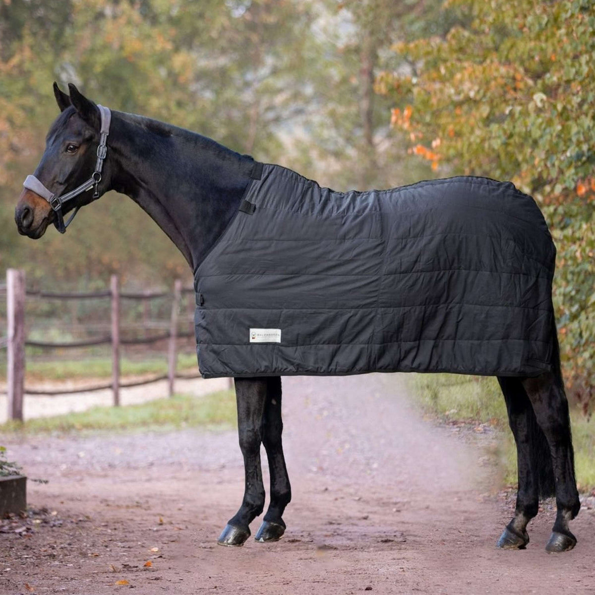 Waldhausen Bajoalfombra Thermo 100g Negro