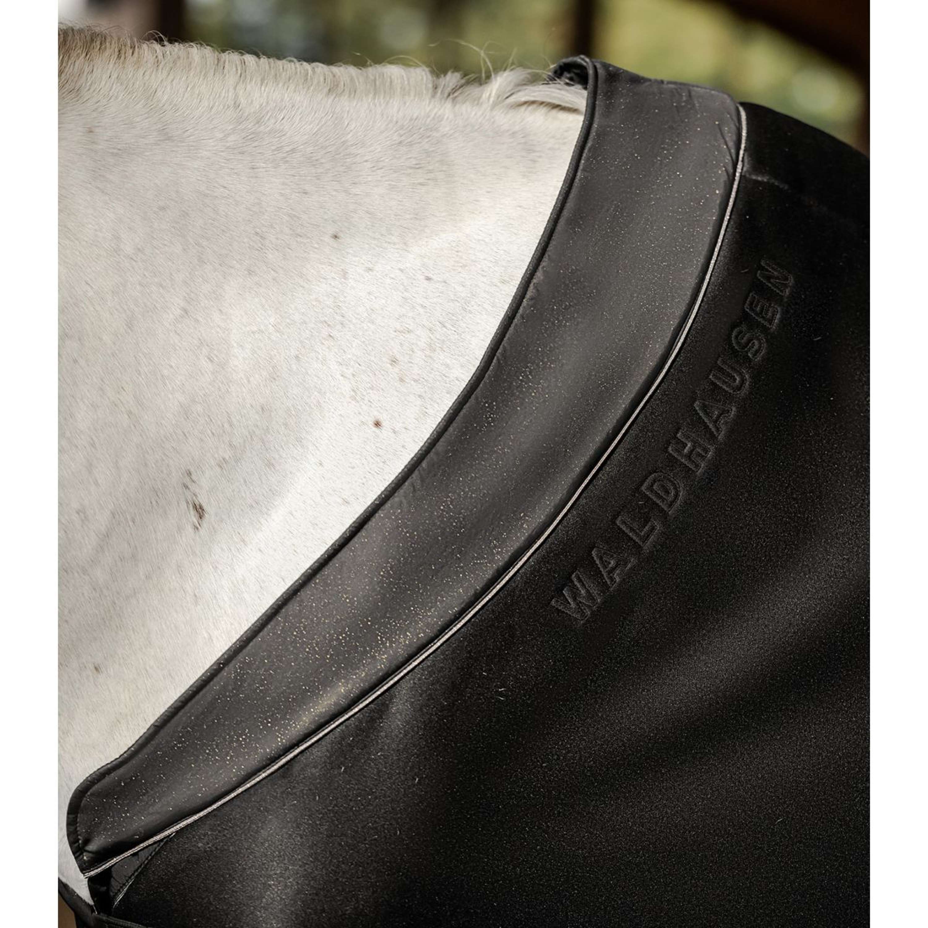 Waldhausen Manta para el sudor Phoenix Negro