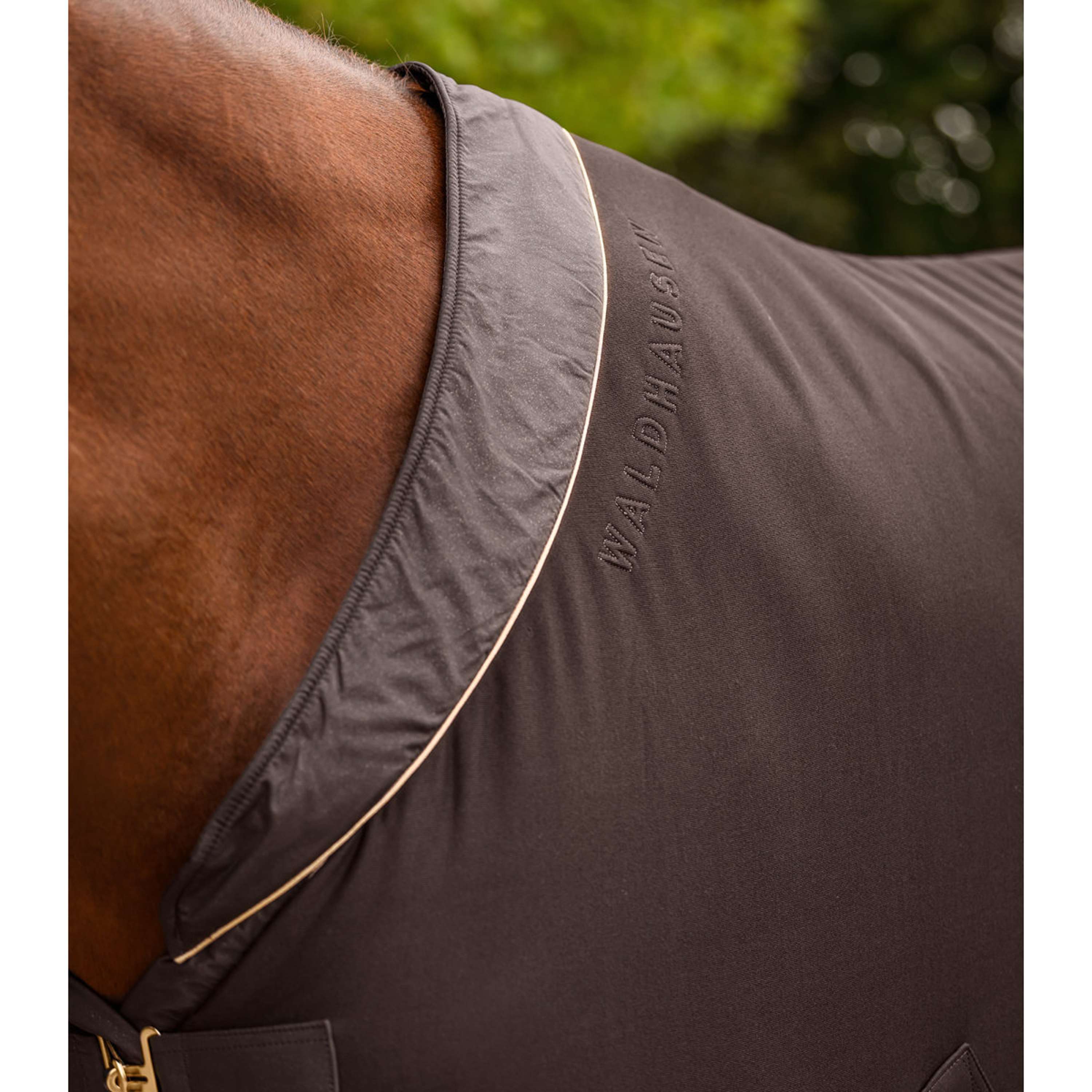 Waldhausen Manta de Forro Polar Phoenix Jersey Espresso