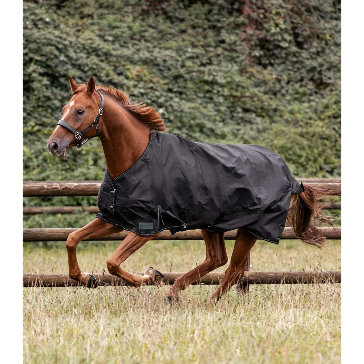 Waldhausen Alfombra de Exterior Nordic 200 g Negro