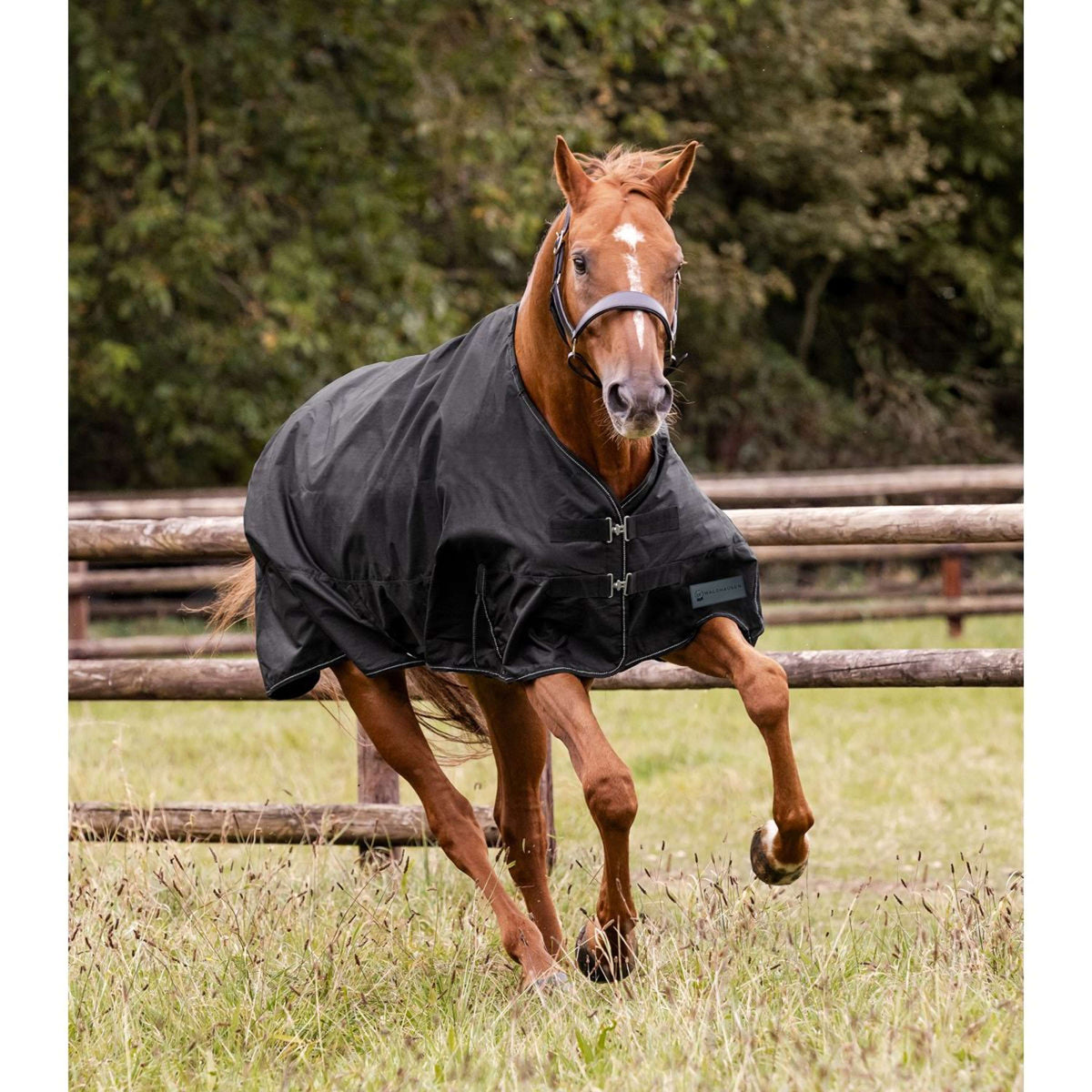 Waldhausen Alfombra de Exterior Nordic 200 g Negro