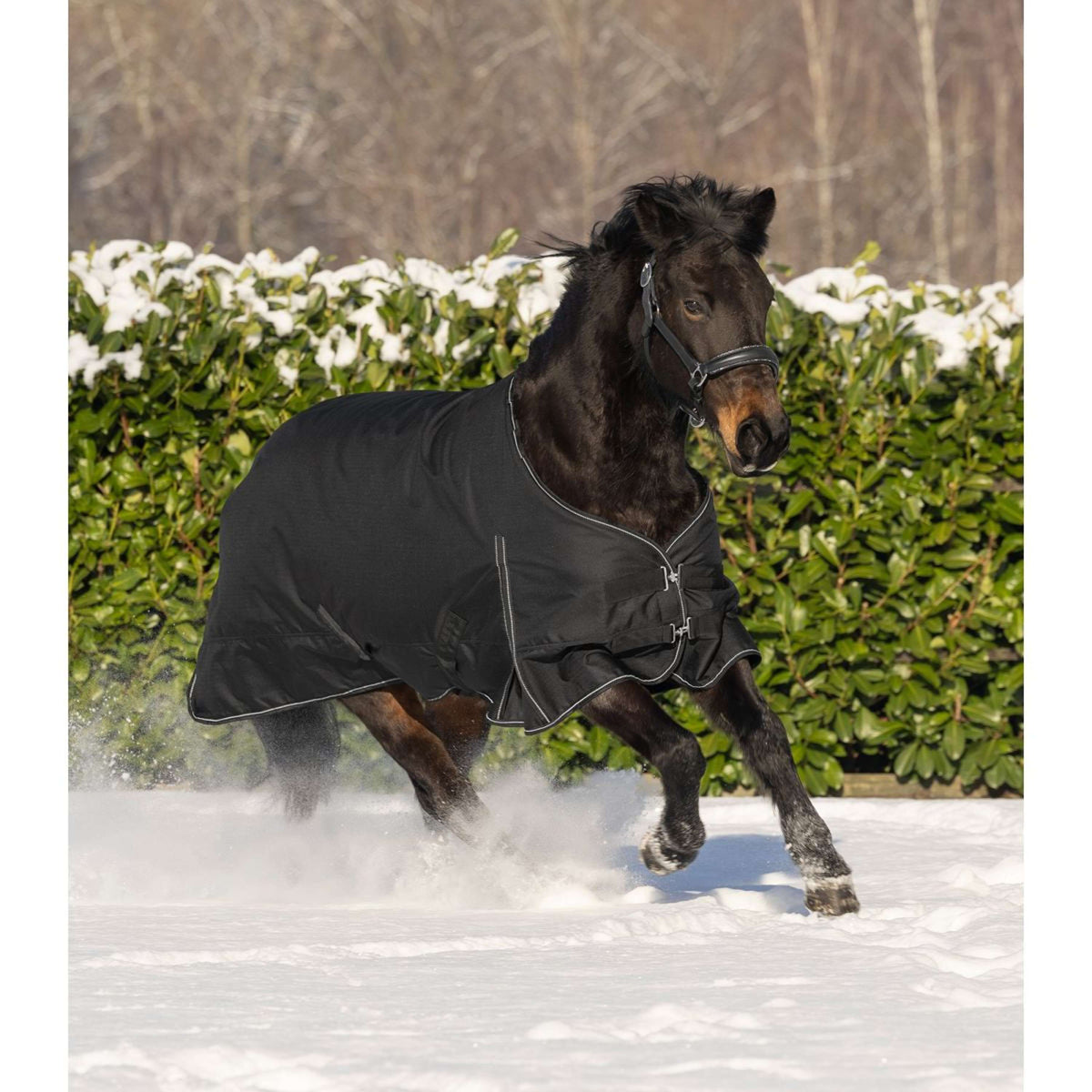 Waldhausen Alfombra de Exterior Nordic 300 g Negro