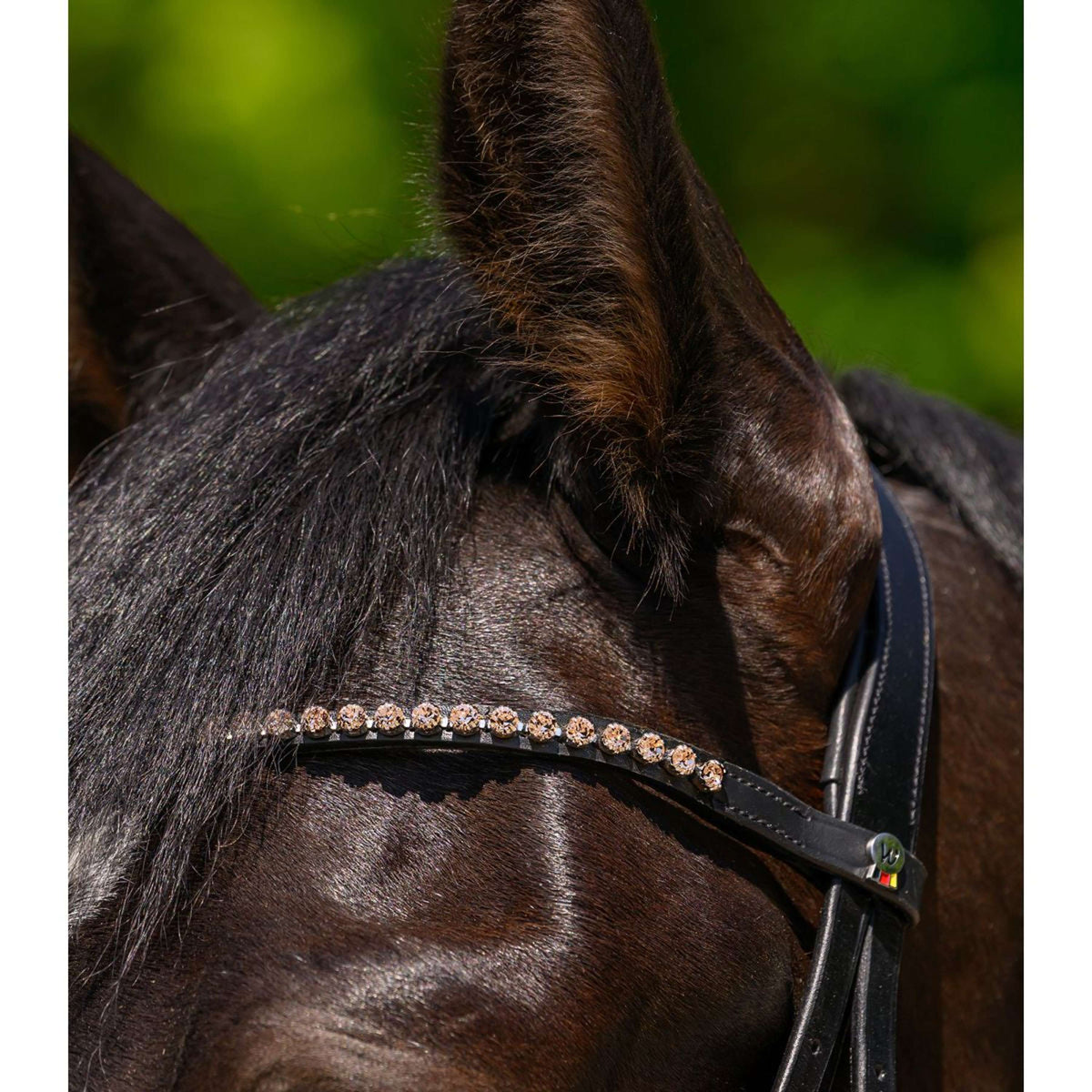 Waldhausen Frontal X-Line Glam Negro Melocoton