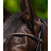 Waldhausen Frontal X-Line Glam Negro Melocoton