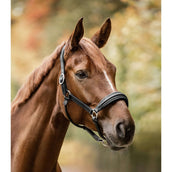 Waldhausen Cabezada S-Line Glamour Negro