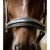 Waldhausen Cabezada S-Line Glamour Negro