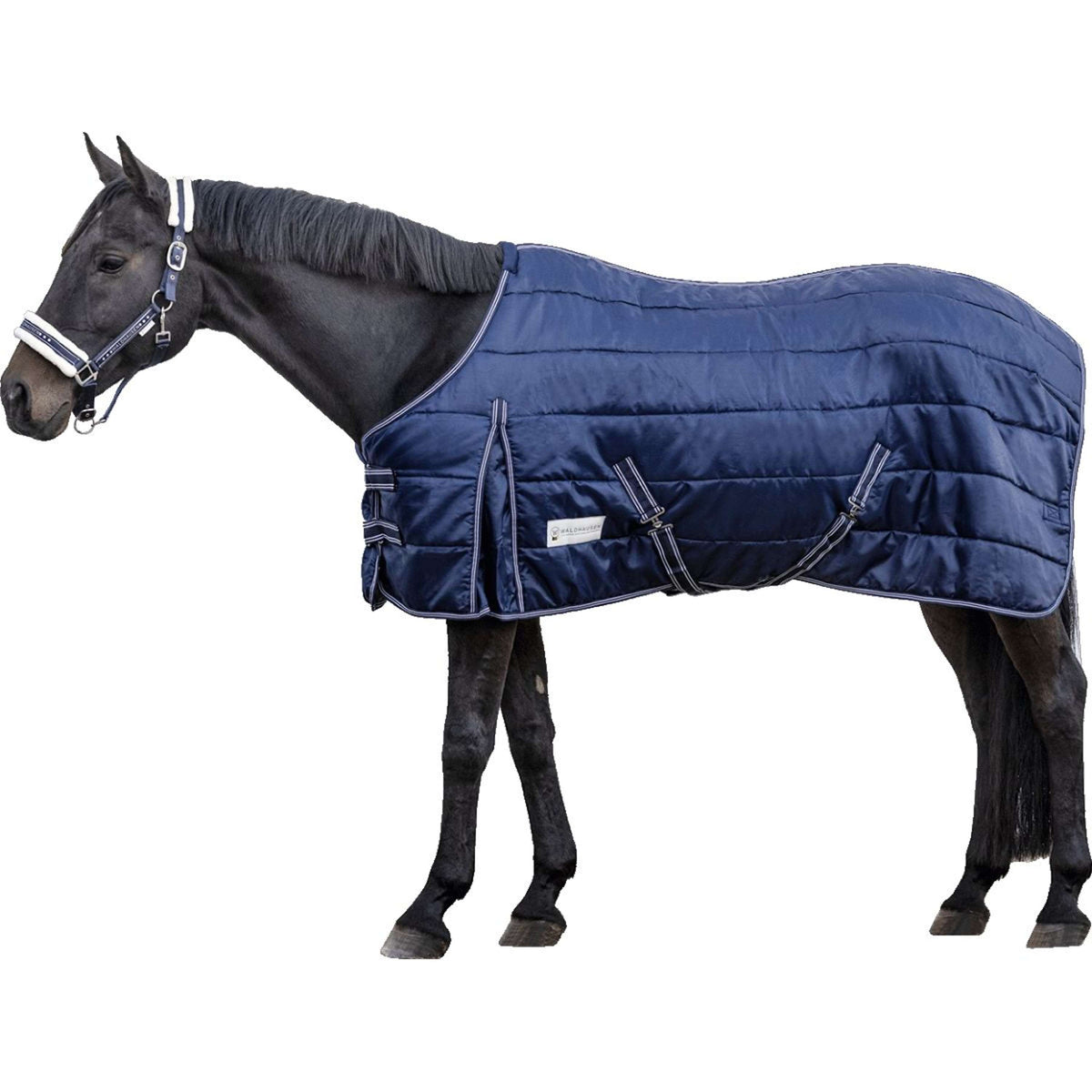 Waldhausen Manta de Establo Economic 300g Azul Noche