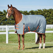 Weatherbeeta Comfitec Classic Standard Neck Medium Gunmetal/Coral