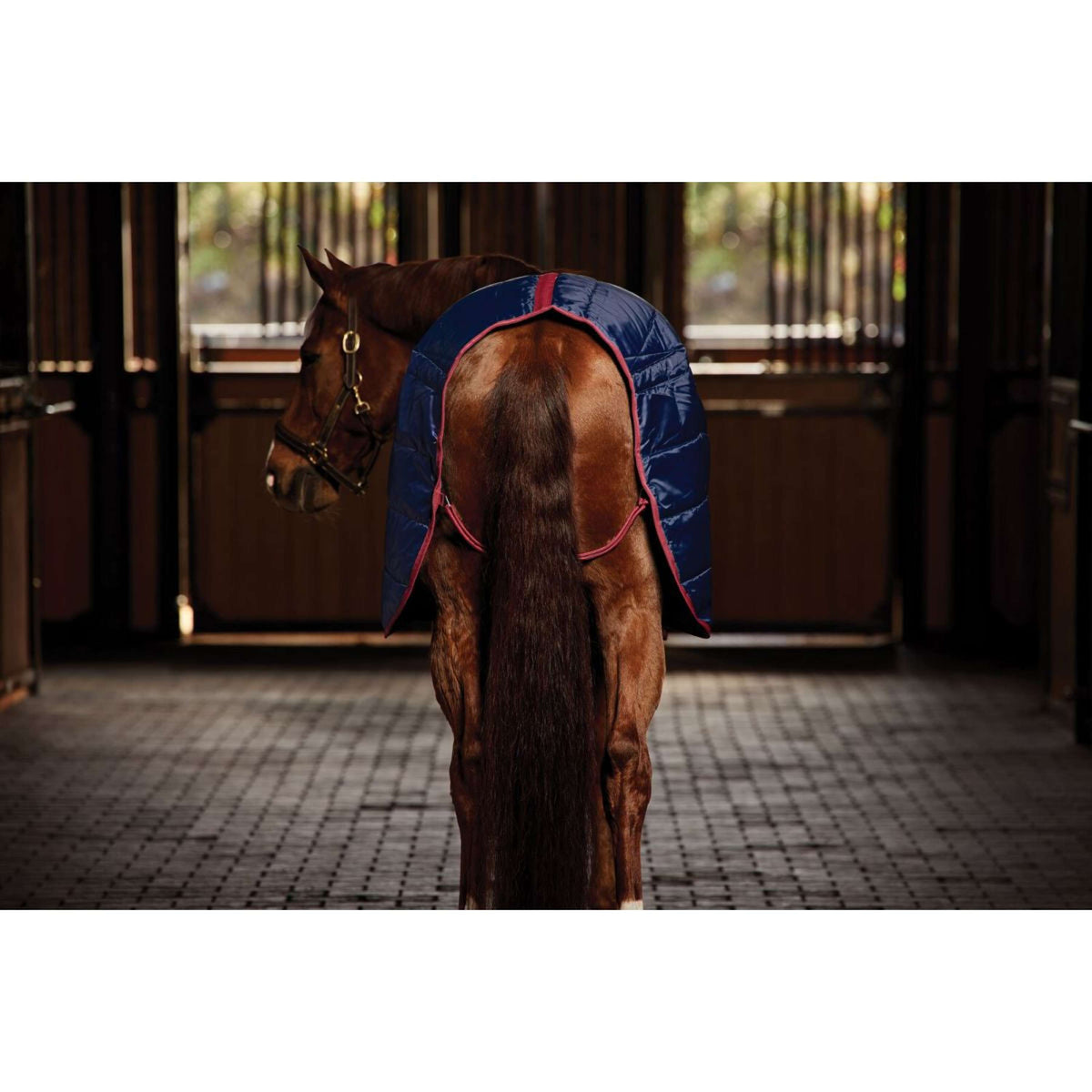 Weatherbeeta Manta de Establo Comfitec 210D Channel Quilt Standard Neck 220g Navy/Burgundy