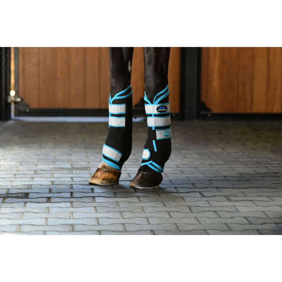 Weatherbeeta Wraps Therapy-Tec Stable Boot Negro/Azul
