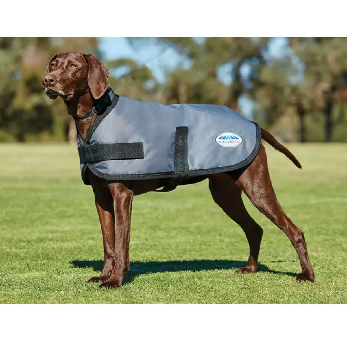 Weatherbeeta Parka abrigo para perros Comfitec Classic Gris oscuro