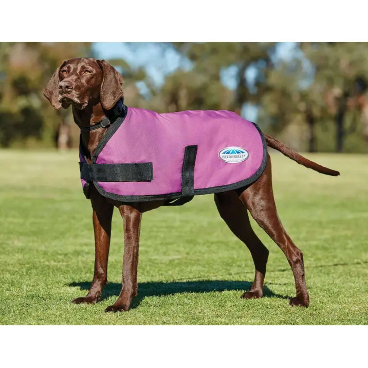 Weatherbeeta Parka abrigo para perros Comfitec Classic Pink