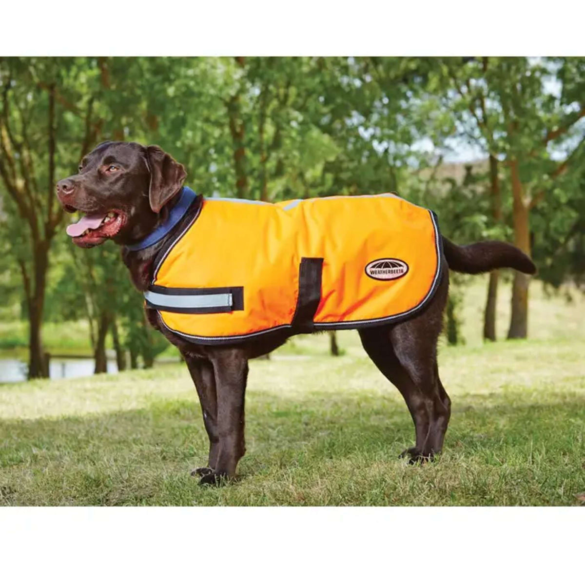 WeatherBeeta Dog Coat Parka Reflectante 300D Orange