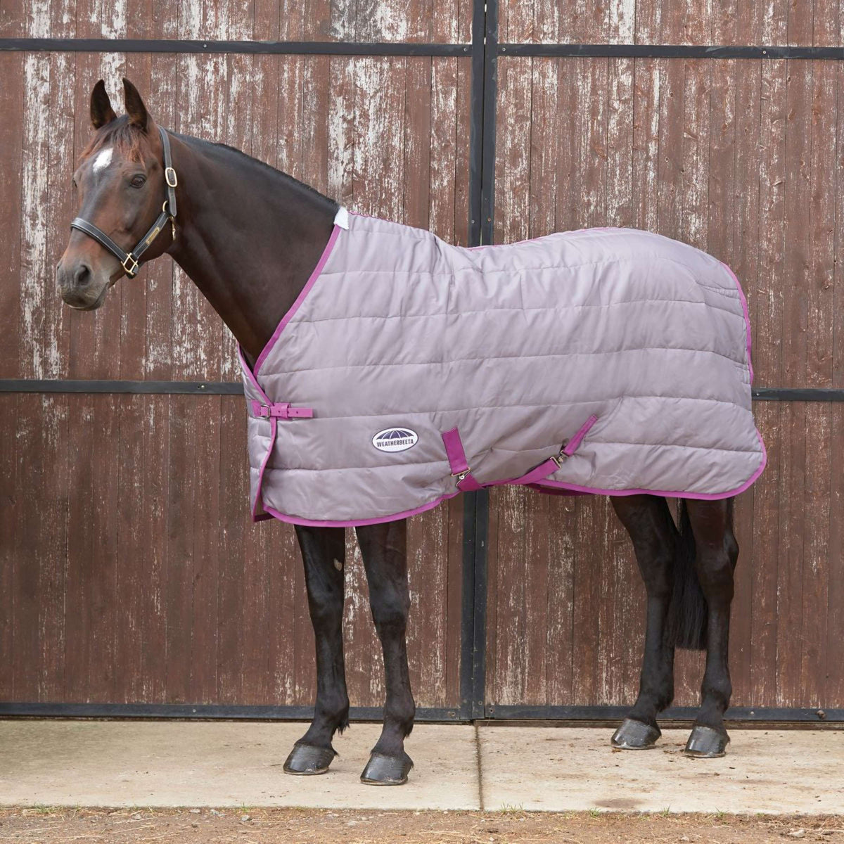 Weatherbeeta Channel Quilt Comfitec M Lite 210D Gris oscuro/Orquidea