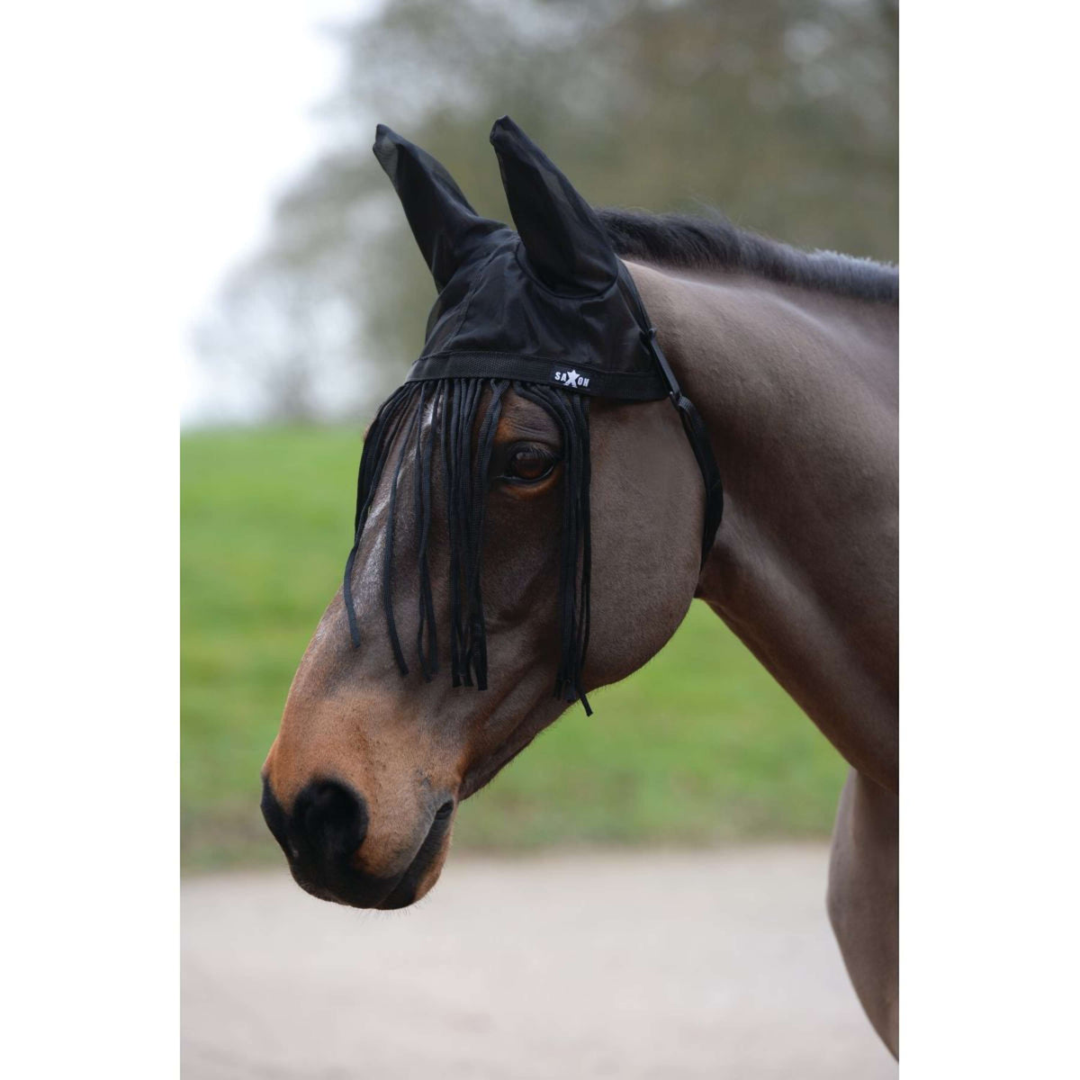 Weatherbeeta Frontal Anti-Moscas Saxon con Orejas Negro