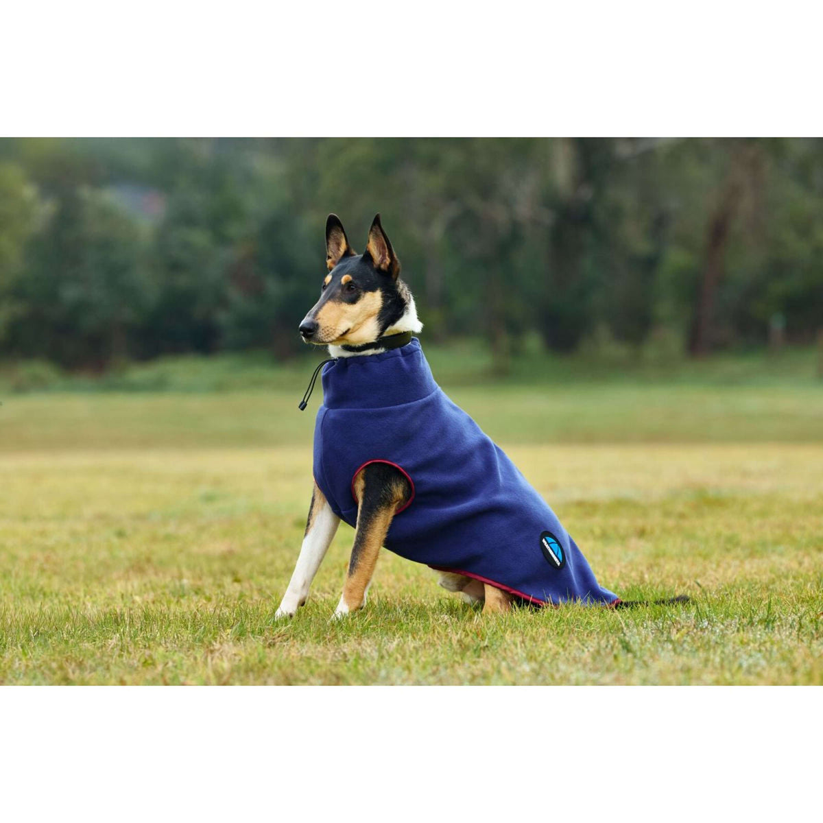 Weatherbeeta Manta para Perros Comfitec Fleece Zip Navy/Burgundy