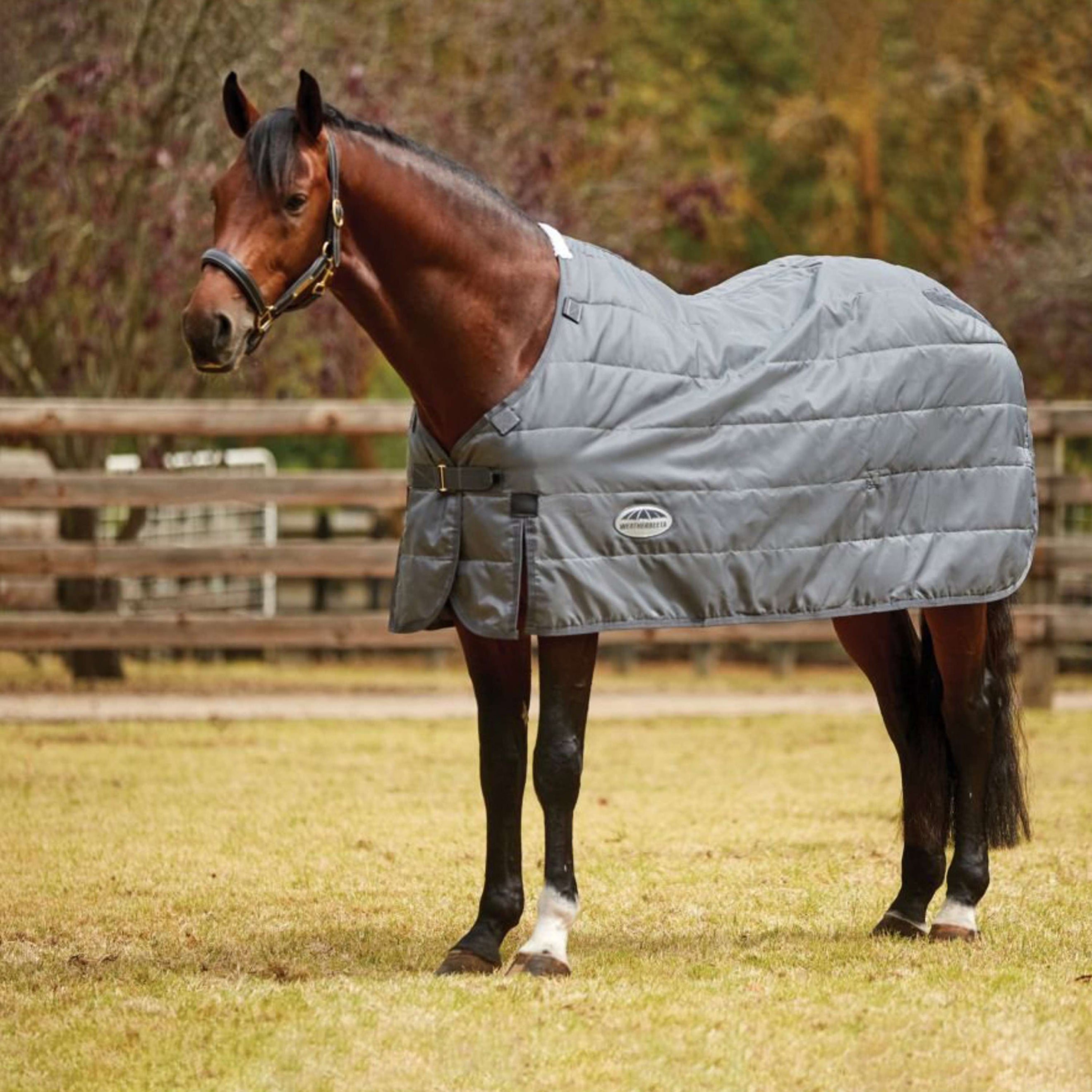 WeatherBeeta Liner ComFiTec Thermi Heat Medium/Lite Gris