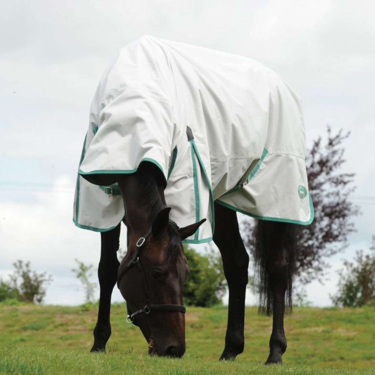 Weatherbeeta Manta Impermeable Green-Tec 900D Combo Neck Lite Plus Gris Claro/Bottle Green