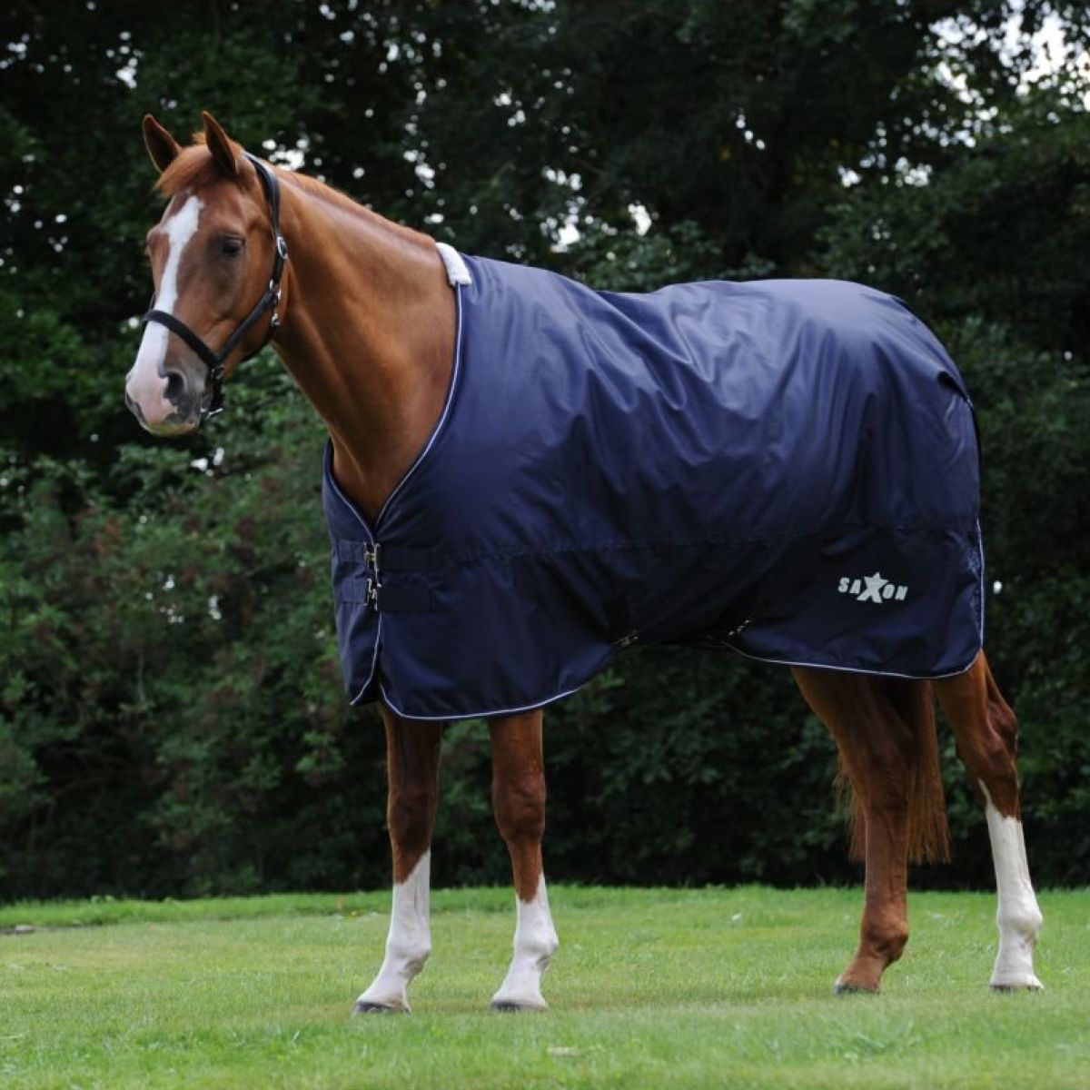 Weatherbeeta Alfombra Saxon Defiant 600D Standard Neck Medium Marino/Blanco