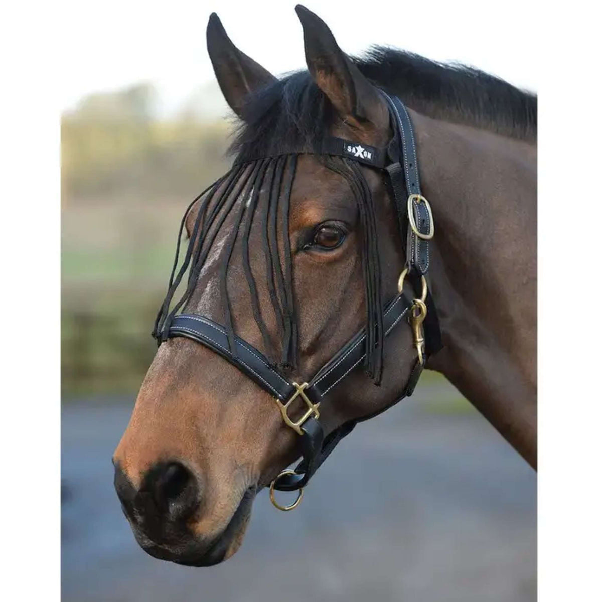 Weatherbeeta Frontal Anti-Moscas Saxon Negro