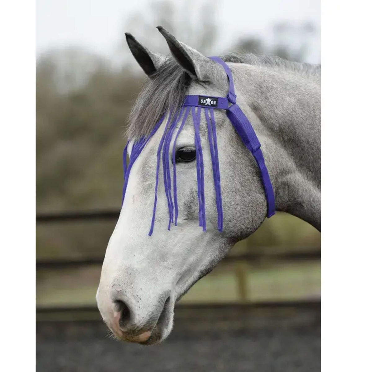 Weatherbeeta Frontal Anti-Moscas Saxon Morado