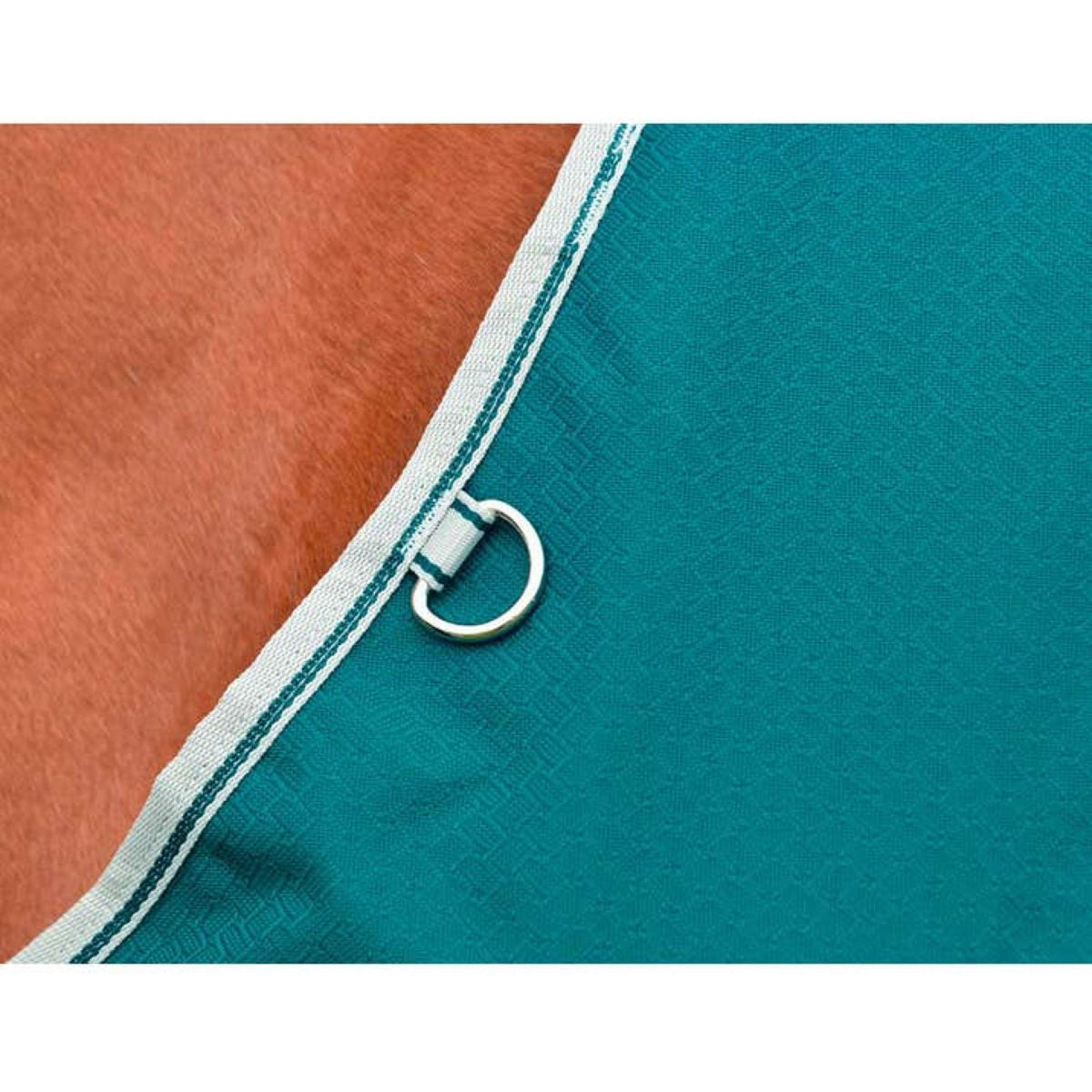 Weatherbeeta Manta Impermeable Comfitec Plus Dynamic II Standard Neck Lite 0g Teal Green/Stone/Teal Green