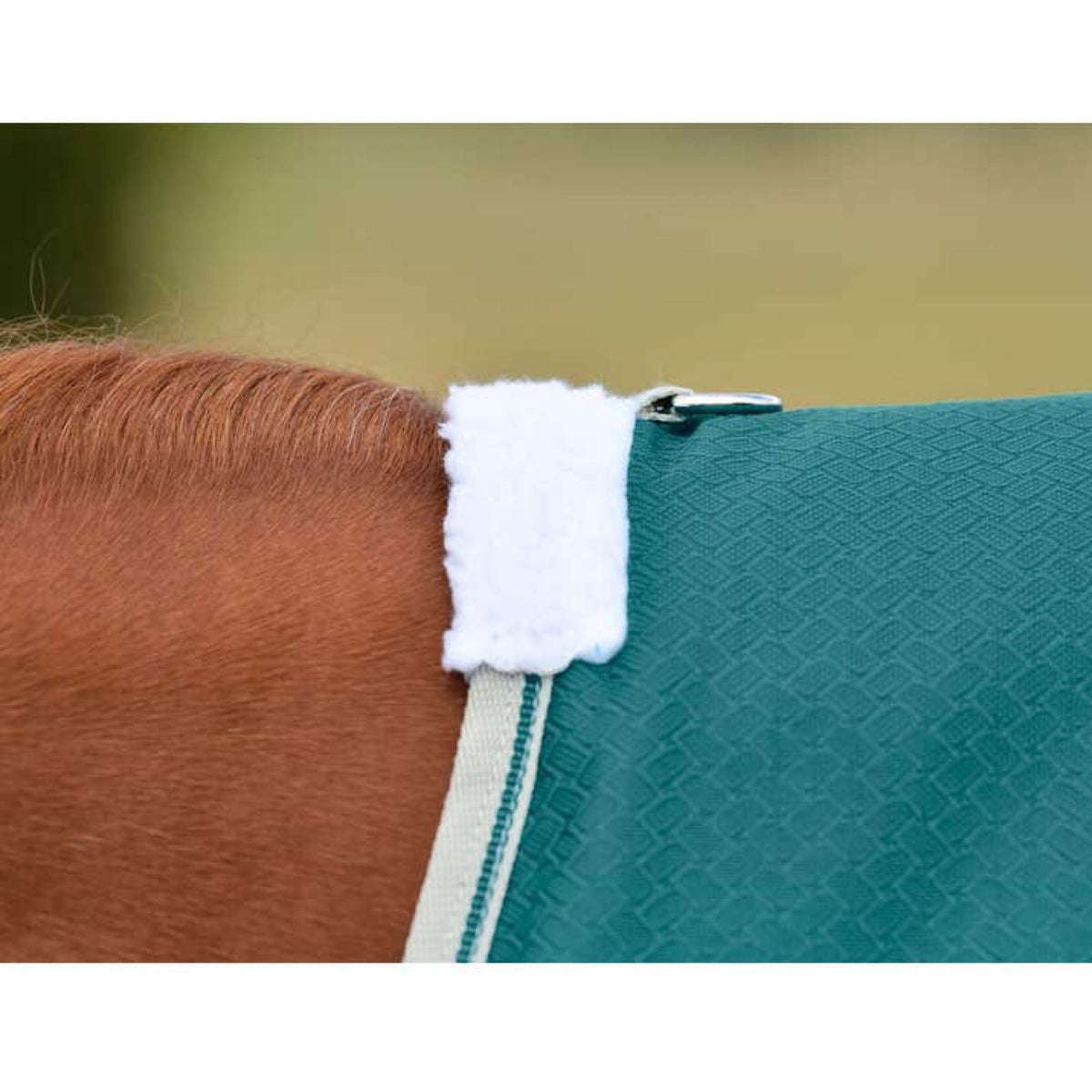 Weatherbeeta Manta Impermeable Comfitec Plus Dynamic II Standard Neck Lite 0g Teal Green/Stone/Teal Green