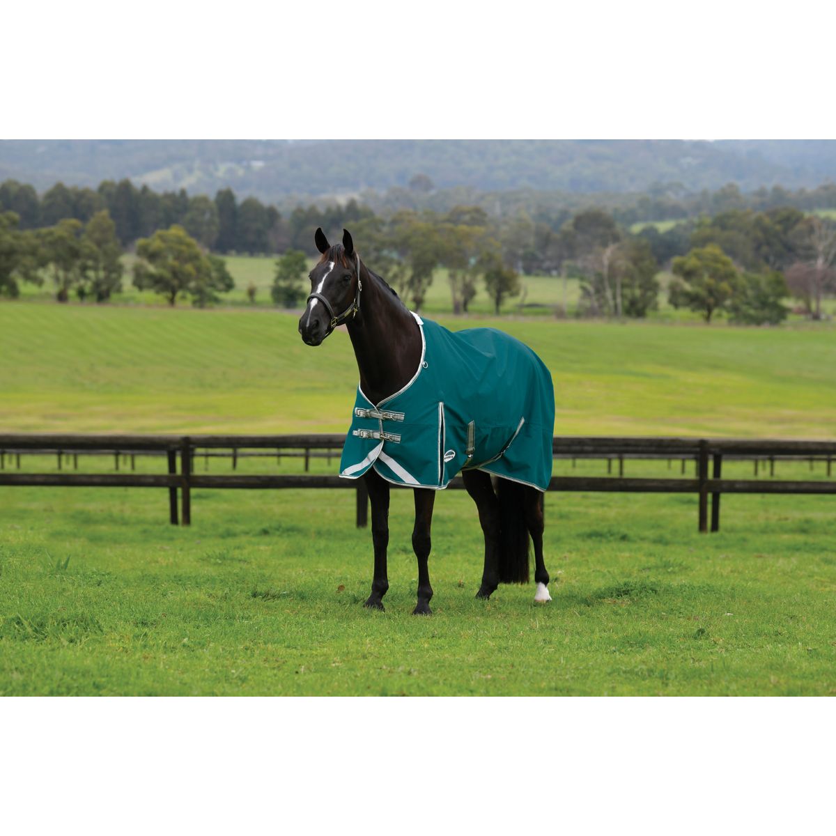 Weatherbeeta Manta Impermeable Comfitec Plus Dynamic II Standard Neck Lite 0g Teal Green/Stone/Teal Green