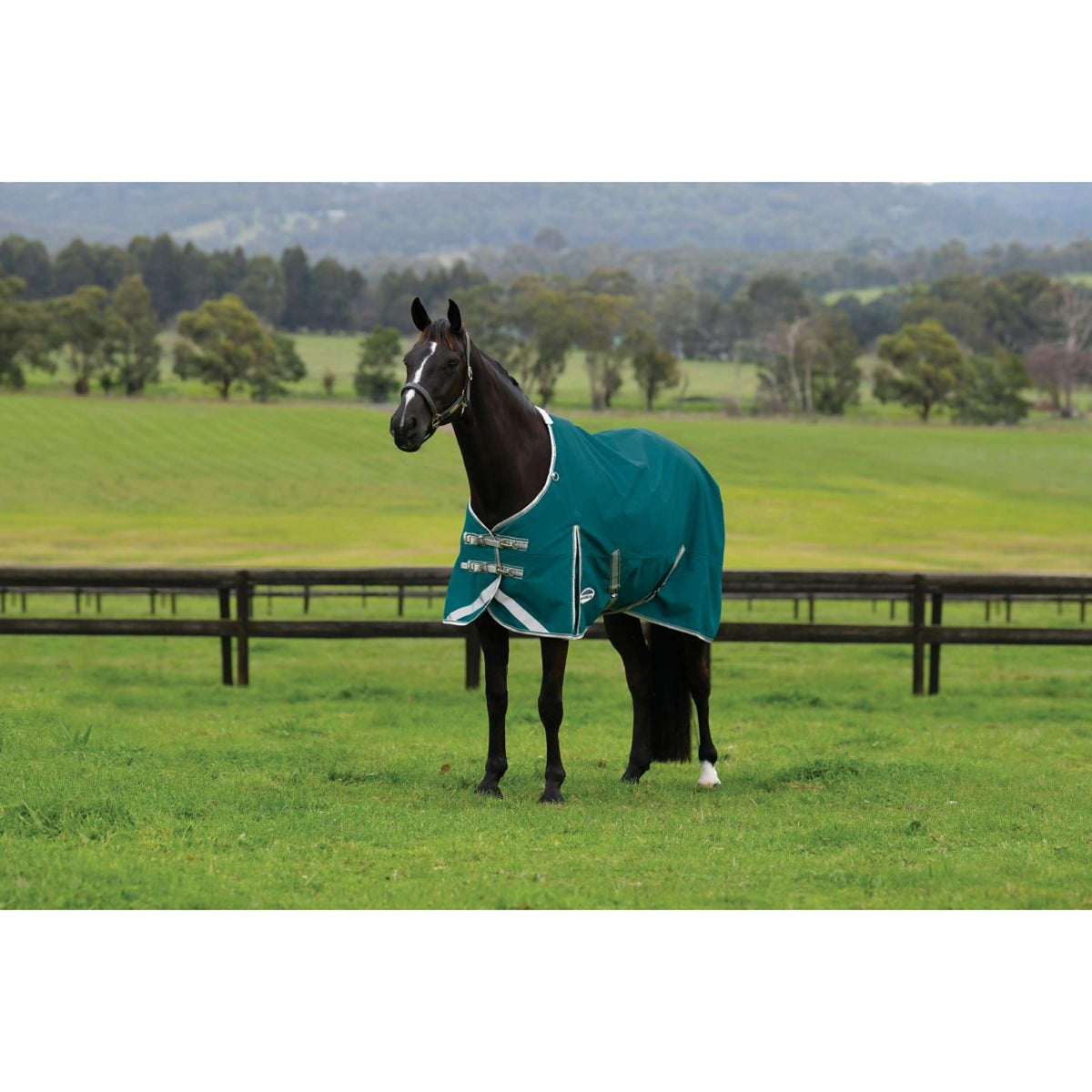 Weatherbeeta Manta Impermeable Comfitec Plus Dynamic II Standard Neck Lite 0g Teal Green/Stone/Teal Green