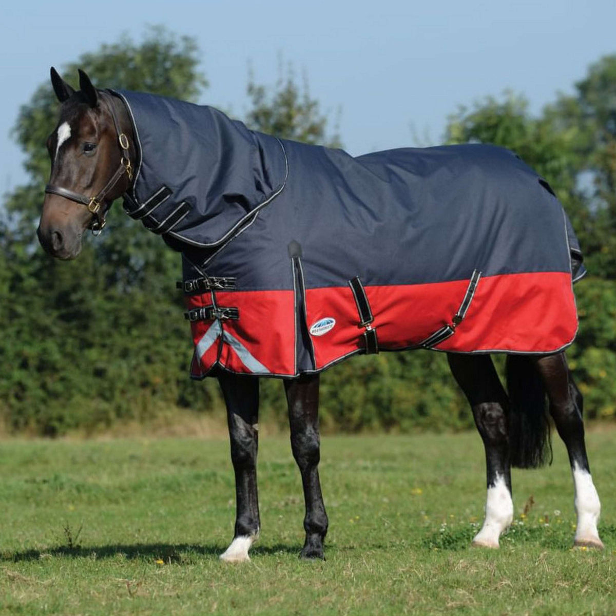 Weatherbeeta Comfitec Plus Dynamic II Detach-A-Neck Medium Negro/Rojo/Plata